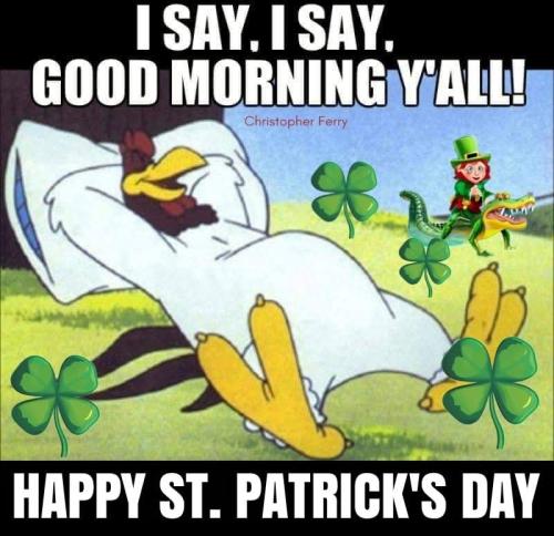 FB_IMG_1742226208299