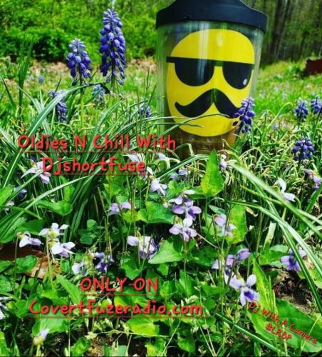 Screenshot_20250318_094033_Gallery