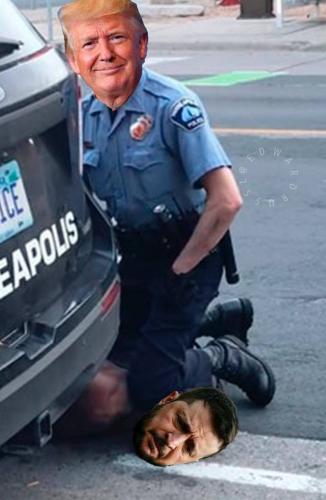 photo_2025-02-28_20-13-51