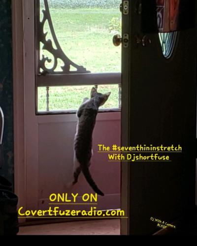 Screenshot_20250223_093540_Gallery