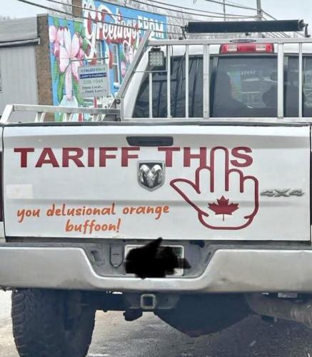 FB_IMG_1741621427979