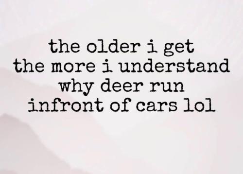 IMG_20250308_142009_283