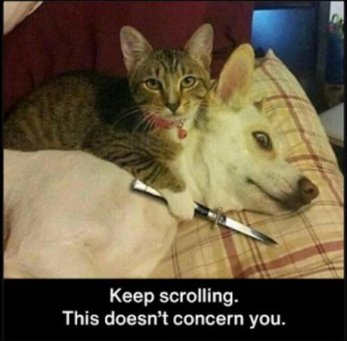 image_F4666CC0-3AF0-4CBC-9ABE-53579F375EDC