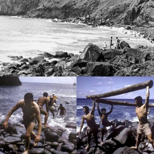 341D0FC8-1224-4ACA-8B97-0684603BD0C1