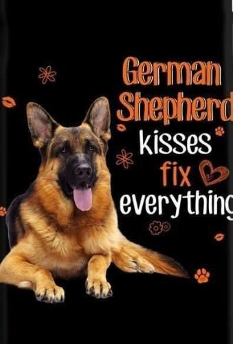 FB_IMG_1740757166674