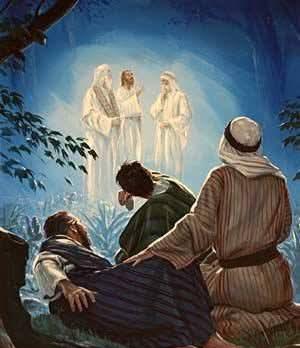 e4a3558d-dff1-461e-b7eb-55aa3a93d0ce