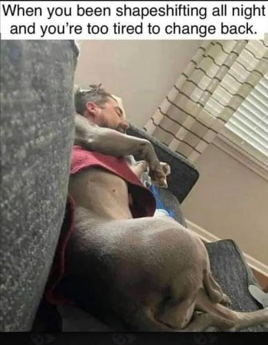 dbc14a09-48fd-40e4-b749-ae8231bb24c8