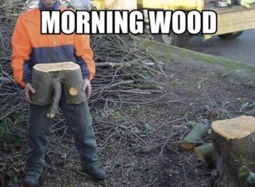 image_6C3FF93B-7167-405B-A9D6-40BAE90E2B89