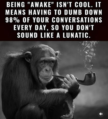 IMG_20250329_193252_715