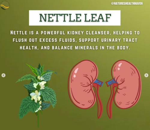 Screenshot 2025-03-12 105627