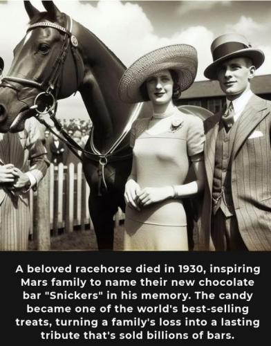 2C91A021-160F-4D9B-8095-D39C95BC4878