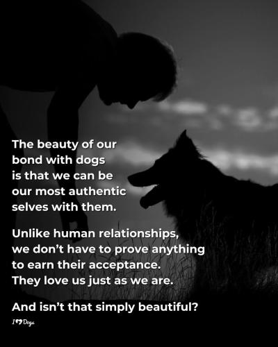 FB_IMG_1740860655058