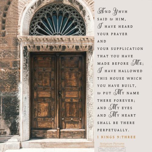 1-kin-9-3-HBE-unsplash