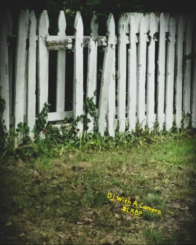 Screenshot_20250311_065525_Gallery