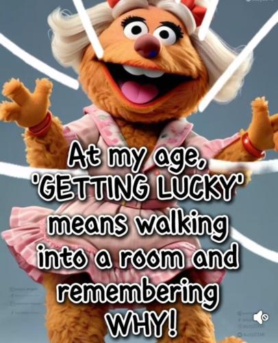 image_80643A15-3C1A-41DD-BBE5-79F53252E14D