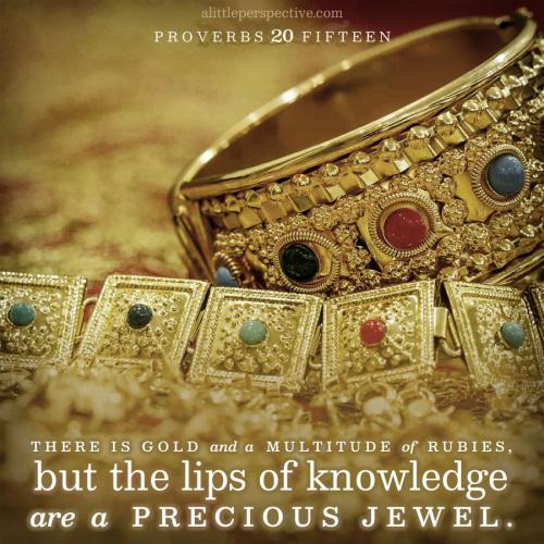 pro-20-15-pixabay-9x