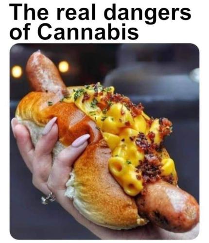 IMG_20250322_152752_219