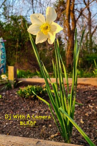 Screenshot_20250316_163616_Gallery