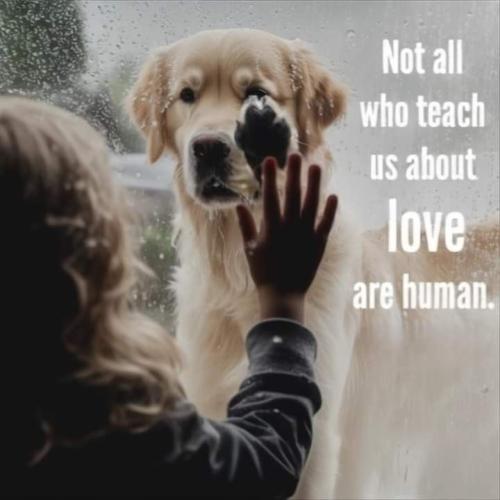 41013eaa65ee69171a704e7fdde44527