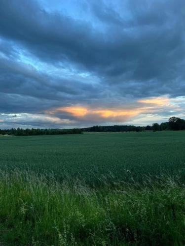 9A7A2454-014B-49B0-A3DB-ACD9DC066F63