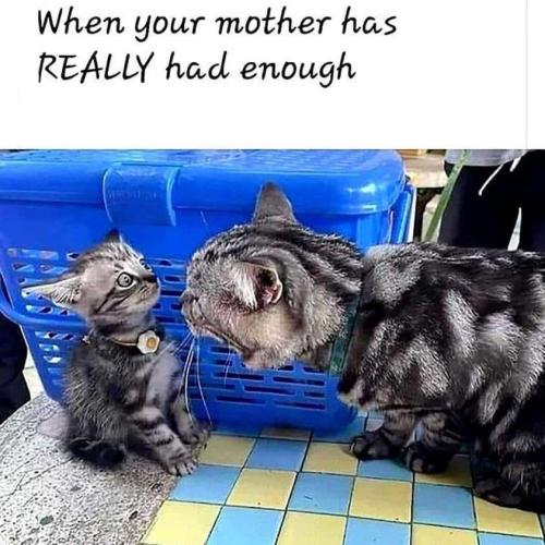 37B46354-2CB0-4994-AD74-FF4B6B47807A