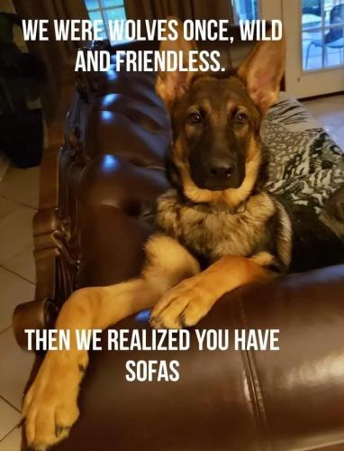 B2DEA024-C2F7-4E96-83CE-81CF8DE1FC49