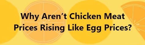 Egg And Chicken Prices