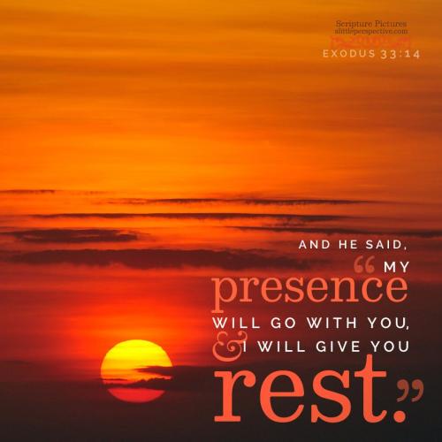 exo-33-14-JPS-unsplash