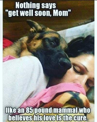 FB_IMG_1741116377521