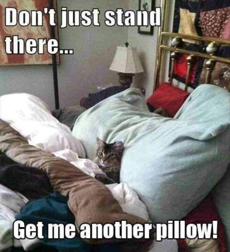 66edbd5465b312606f40f859739195b2