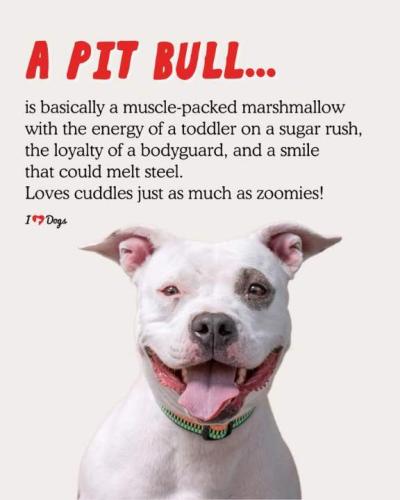 Resized_FB_IMG_1741886424647