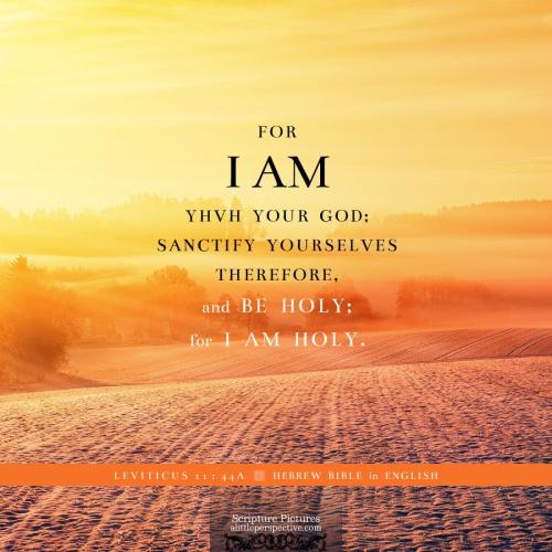 lev-11-44a-HBE-pixabay-1