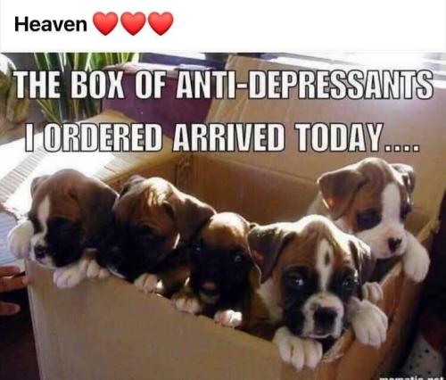 FB_IMG_1743349450426