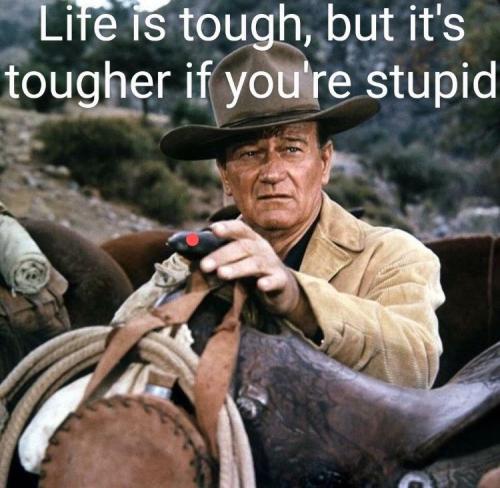 IMG_20250312_123457_969