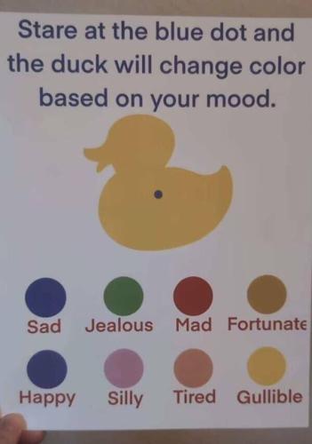 image_F09A1FCA-B7C9-41E2-84D4-37B672F54193