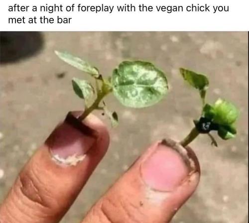 image_C9466BCB-5862-4F64-8927-9B698C793D9A