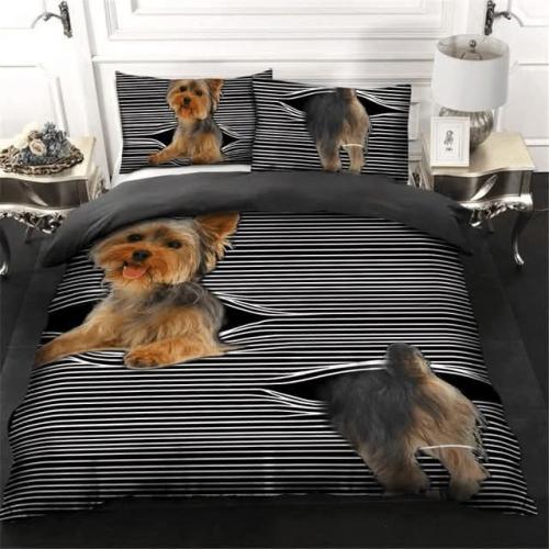 FB_IMG_1742511106778