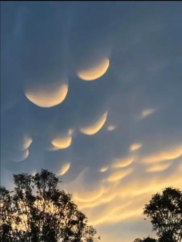 Cropped_Image_20250305_071633