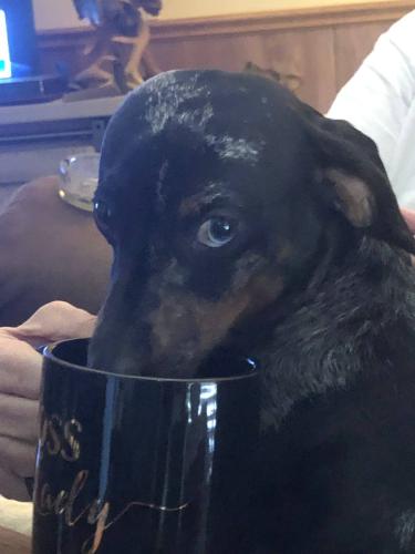 IMG_20250327_120513_594