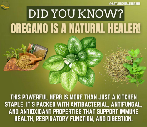 Screenshot 2025-03-10 150036