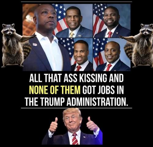 FB_IMG_1743276430788