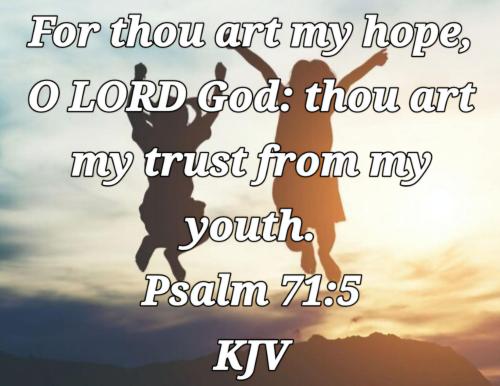 280fec81-9748-43a6-b489-0d3027f1d2da