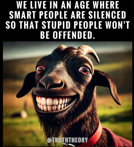 Screenshot 2025-03-14 155031