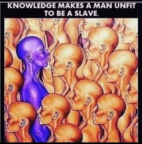 481077368_1453395062590804_1735208577033414370_n