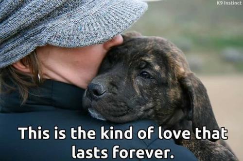 557fddd2bf0c42c57ee705b45020d79b