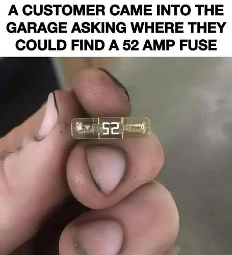 FB_IMG_1741795628523