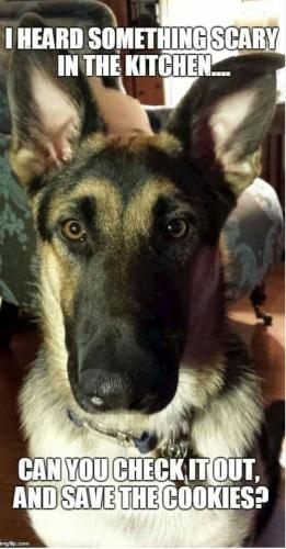 FB_IMG_1741645414211