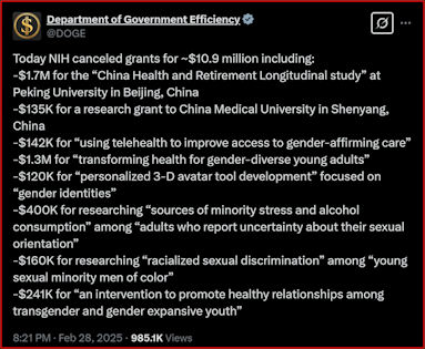 government efficiency52