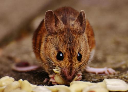 8e21b0e8-dc36-4947-90ff-7561d12205c9