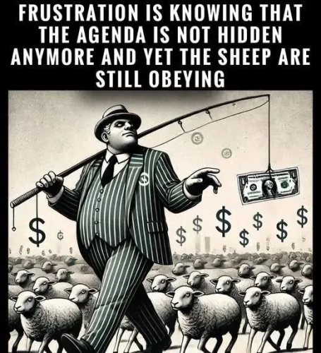 image_2025-03-16_084030805